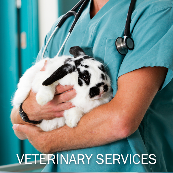 Healthy Pets/Veterinary Services - Humane Pennsylvania