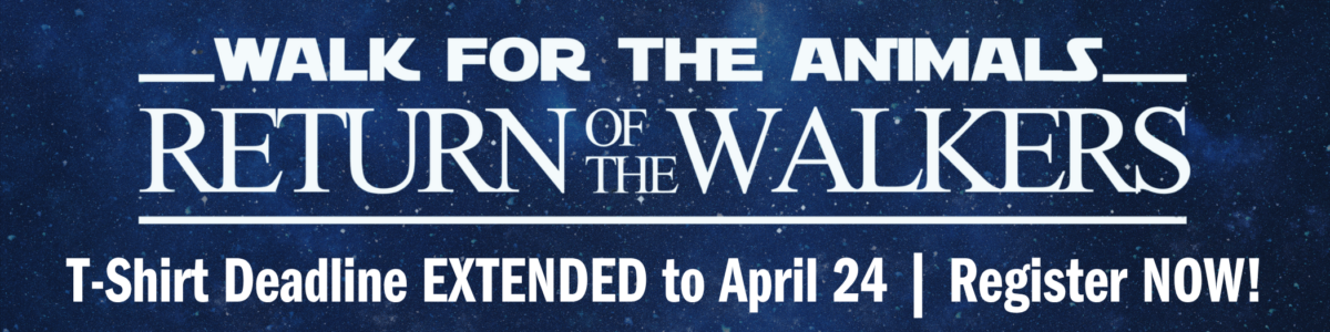 website sliders (10)