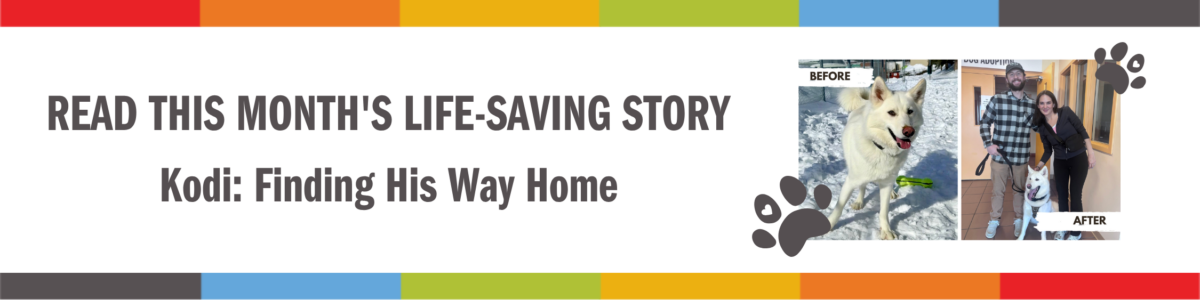Lifesaving Story Header (7)
