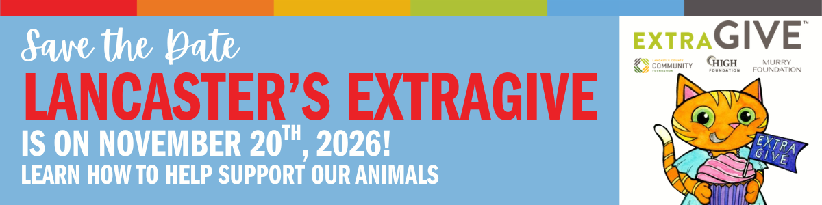 EXTRAGIVE 2026 (2)