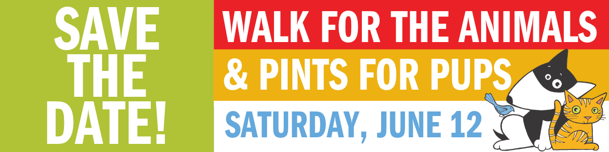 SAVE THE DATE WALK AND PINTS